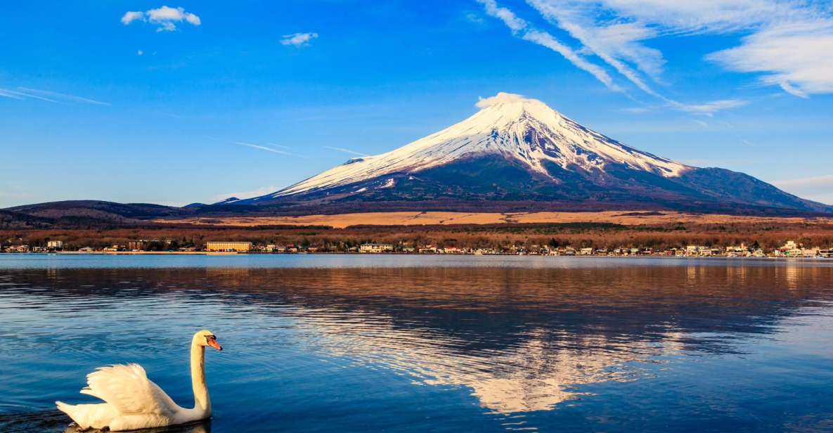 1-Day Trip: Mt Fuji + Kawaguchi Lake Area - Trip Pricing and Duration