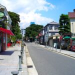 Day Walking Tour Around Kobe : Mountains, Sea and Sake Tour Overview