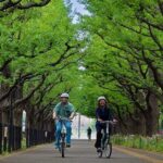 hour Private E bike Tour in Tokyo Starts at Your Hotel Tour Details