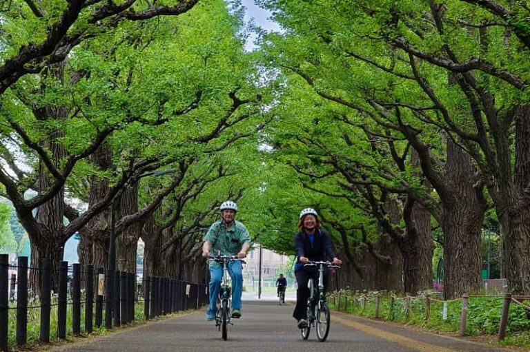 3-hour Private E-bike Tour in Tokyo Starts at Your Hotel