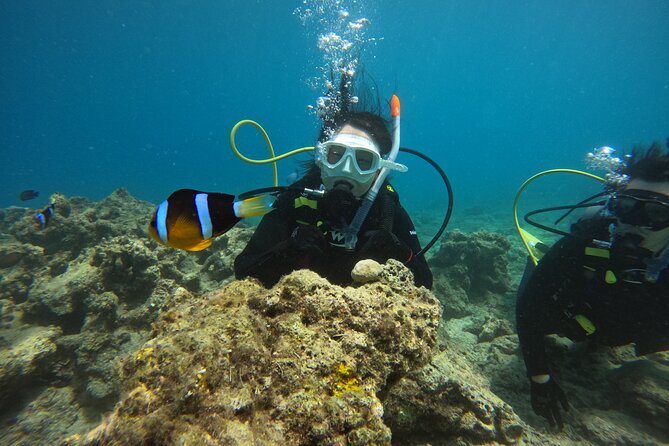 5 Hour Beginners Diving Course Experience in Amami Island