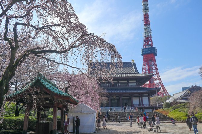 5-Hour Tokyo & Edo Hidden Gem Bike Tour With Lunch