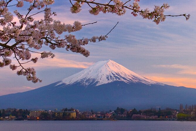 7-Day Guided Tour in Tokyo, Mount Fuji, Kyoto, Nara and Osaka - Tour Itinerary Overview