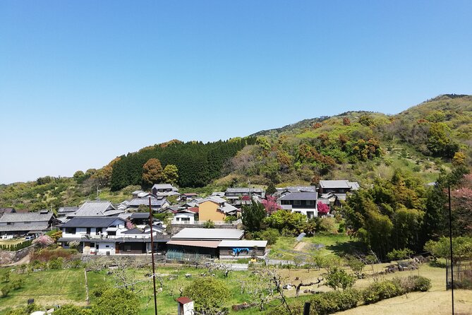 Ancient Nara Walking and Cycling Tour in Asuka - Tour Highlights