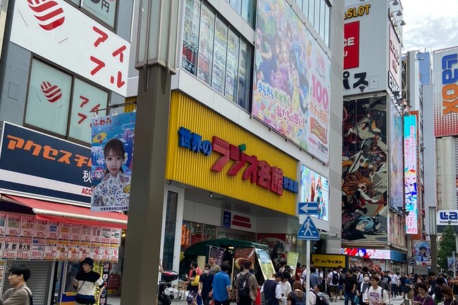 Anime, Manga, Game & Maid Cafe Tour in Akihabara