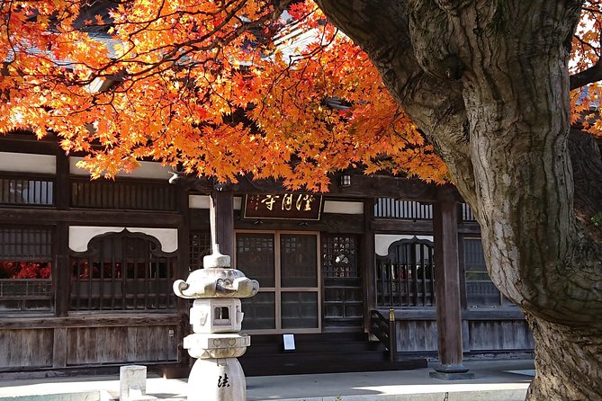 [Aomori Prefecture] Tour the History and Architecture in Towada City, the Art City