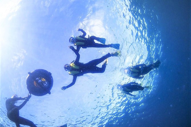 Charter Snorkeling (Near Churaumi Aquarium) Free Photo Gift