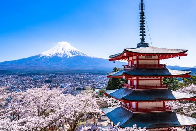 Cherry Blossom ! Five-Story Pagoda,Mt. Fuji 5th Station,Panoramic Ropeway