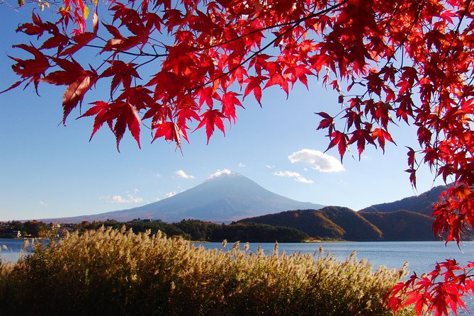 Day Trip to Mt. Fuji, Kawaguchiko and Mt. Fuji Panoramic Ropeway