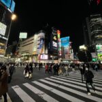 Discover Tokyo: Hour Private Guided Photo Walking Tour Tour Highlights