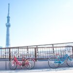 [Electric Bicycle Tour]: Hour Travel Course by Electric Bicycle Asakusa, Ueno Park, Edo Tokyo Muse Tour Details