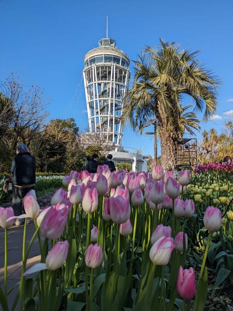 Enchanting Morning Walk on Enoshima Island