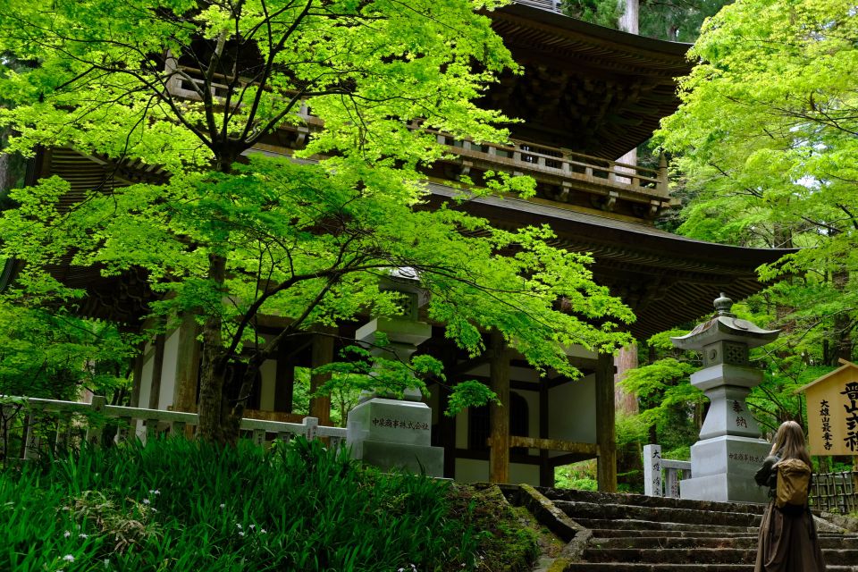 Fm Odawara: Forest Bathing and Onsen With Healing Power - Experience the Healing Power of Forest Bathing