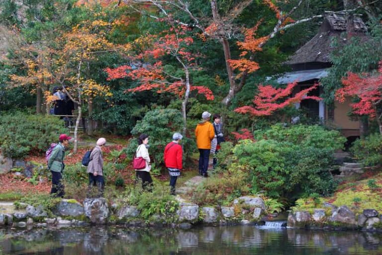 From Kyoto or Osaka: Private Walking Tour Through Nara