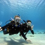 From Naha Scuba Diving Trip in Kerama(For Certified Divers) Trip Highlights