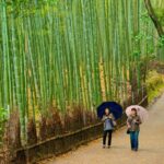 From Osaka: Fushimi Inari Shrine, Kyoto, and Nara Day Trip Tour Details