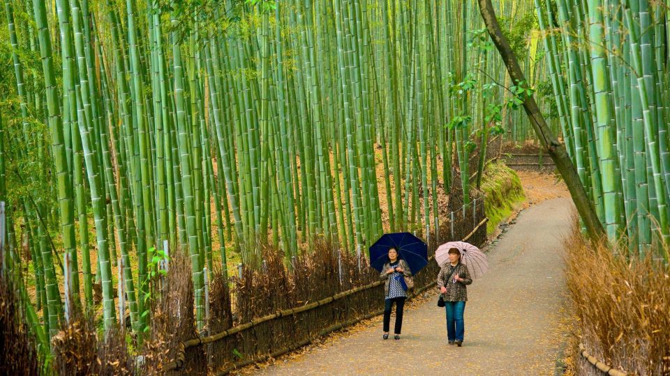 From Osaka: Fushimi Inari Shrine, Kyoto, and Nara Day Trip - Tour Details