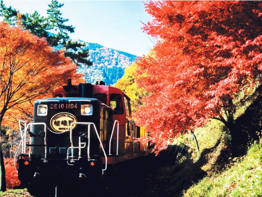 From Osaka: Kyoto Sightseeing Tour With Scenic Train Ride - Tour Details