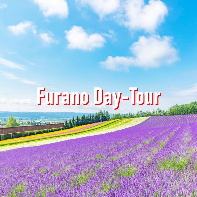 From Sapporo: 10-hour Customized Private Tour to Furano