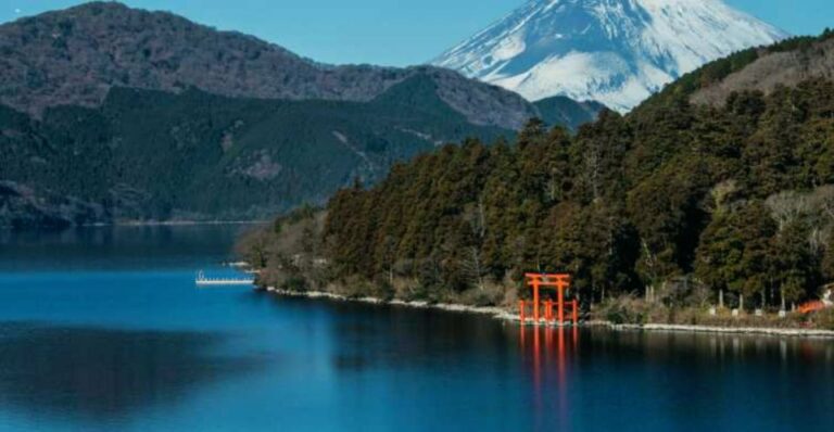 From Tokyo: 10-hour Hakone Private Custom Tour