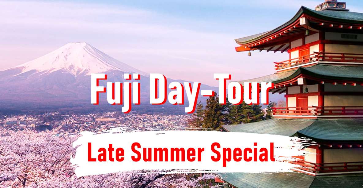 From Tokyo: 10-hour Mount Fuji Private Customizable Tour - Tour Details