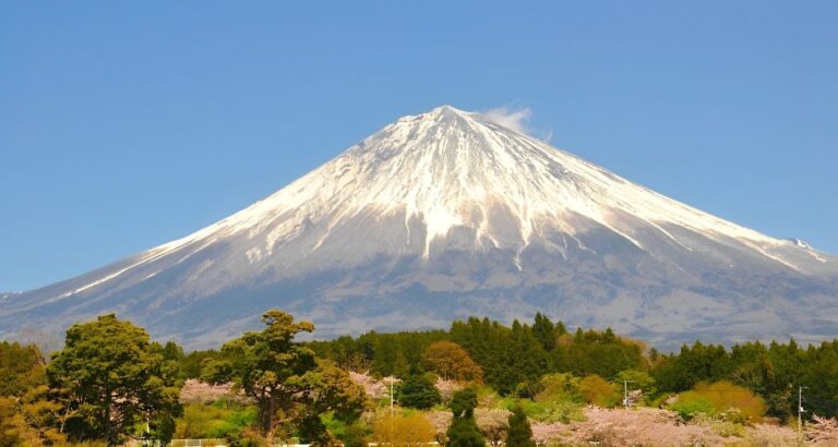 From Tokyo: 10-hour Private Tour to Mount Fuji and Hakone