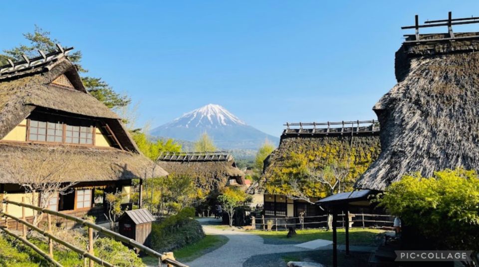 From Tokyo/Hakone/Fuji: Hakone & Mt. Fuji Day Trip W/Pickup - Tour Pricing & Duration