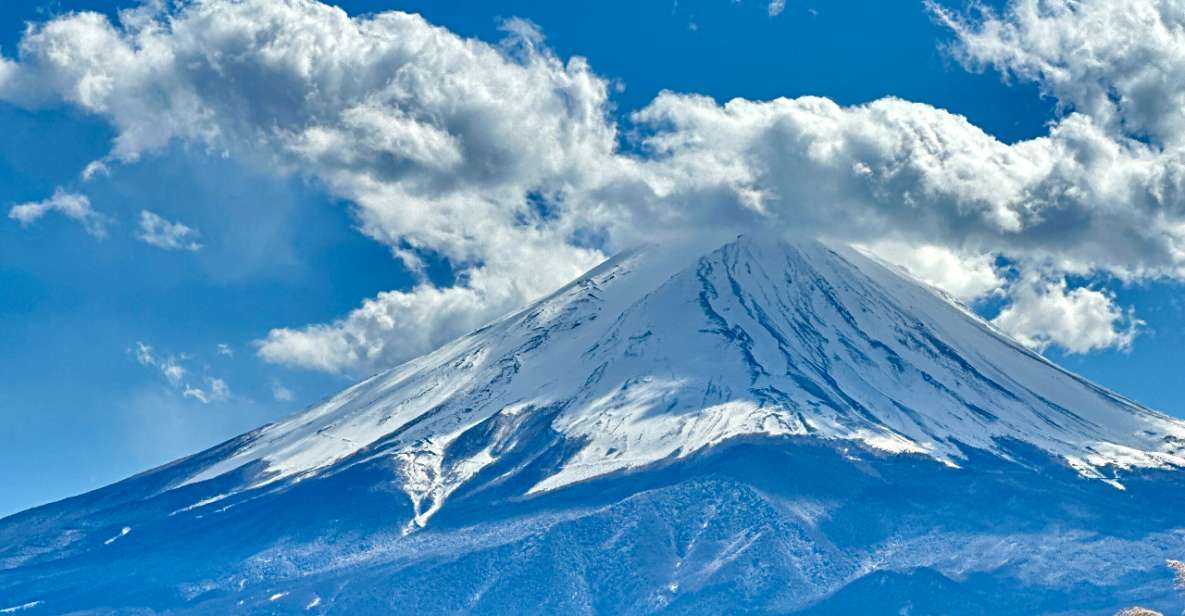 From Tokyo: Mount Fuji Full Day Private Customize Tour - Important Information