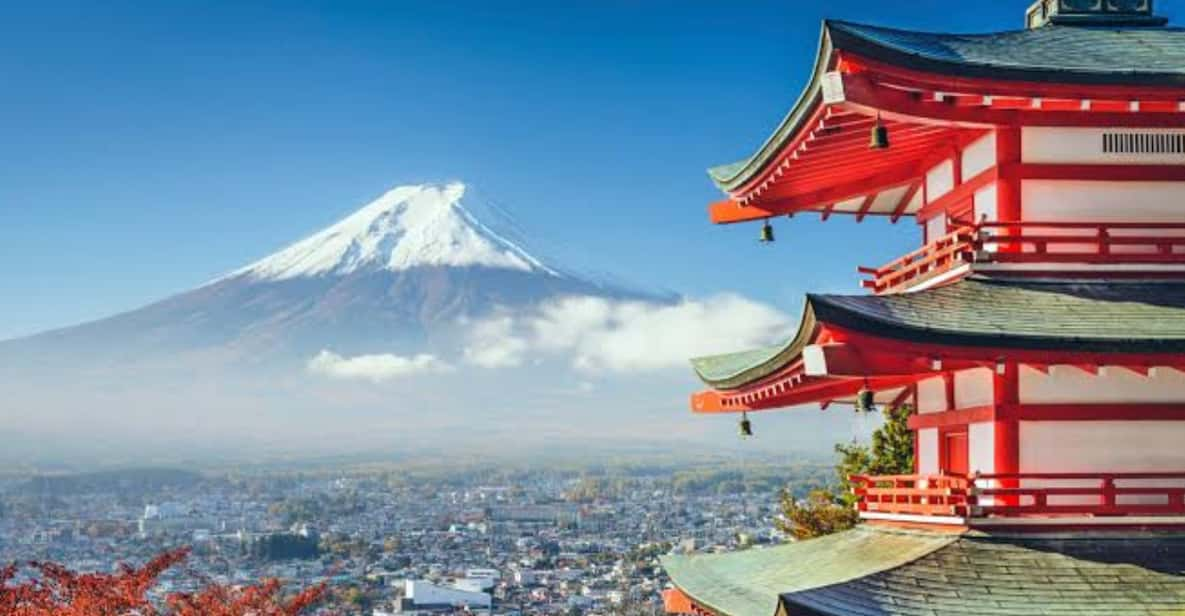 From Tokyo: Mount Fuji Full Day Private Tours English Driver - Tour Details