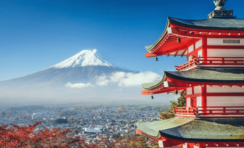 From Tokyo: Mount Fuji Full Day Private Tours English Driver - Inclusions