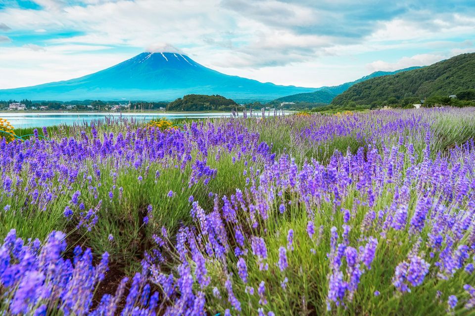 From Tokyo: Mt. Fuji Full-Day Sightseeing Trip - Tour Details