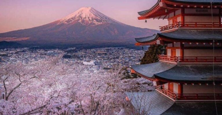 From Tokyo: MT Fuji Hakone Owakudani Valley Private Tour