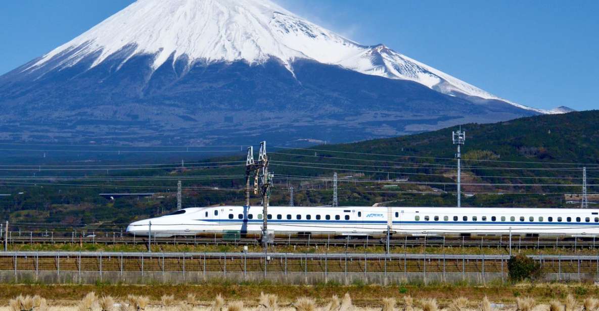 From Tokyo: Mt. Fuji & Hakone Tour W/ Return by Bullet Train - Tour Details