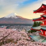 From Tokyo: Mt. Fuji or Hakone Private Sightseeing Day Trip Trip Details