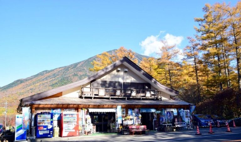 From Tokyo: Nikko UNESCO Shrine and Nature View 1-Day Tour