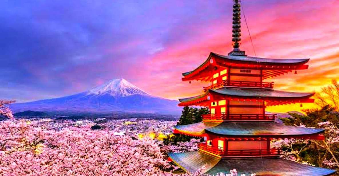 From Tokyo: Private Mount Fuji & Hakone Full-Day Guided Trip - Trip Details