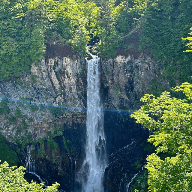 From Tokyo: Private Nikko World Heritage Sights Day Trip - Itinerary Details