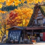 From Toyama: Private Day Tour to Shirakawago & Takayama Tour Details