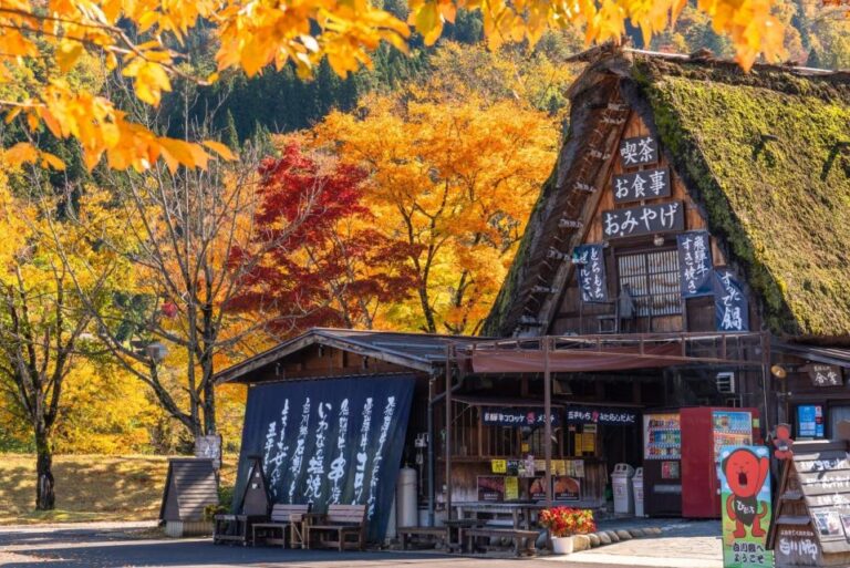 From Toyama: Private Day Tour to Shirakawago & Takayama