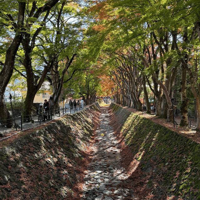 Fuji Tour: Exploring the Beauty Around Mount Fuji - Booking Information