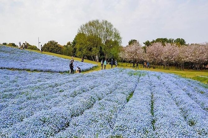 Fukuoka Custom Half Day Tour - Price and Duration