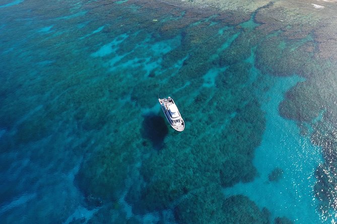 Full Day “Experience Diving” Trip at Kerama Islands