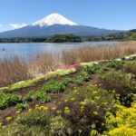 Full Day Mt.Fuji & Gotemba Premium To And From Tokyo, up to Tour Overview