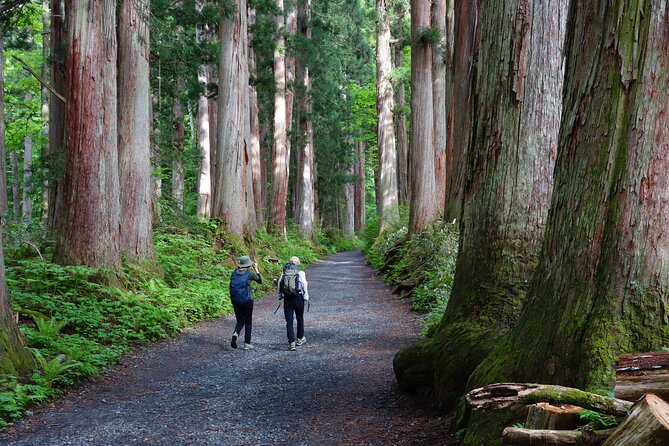 Full Day North Nagano Hiking Experience