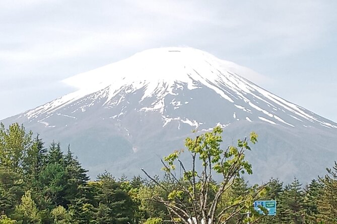 Full-day Private Exploration in Mount Fuji