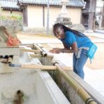 Full Day Sightseeing to Kyoto Highlights Tour Itinerary