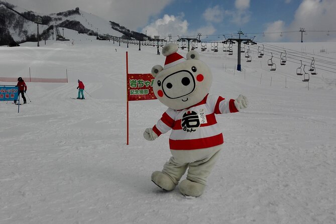 Full Day Ski Lesson (6 Hours) in Yuzawa, Japan