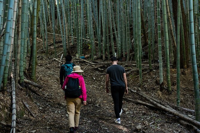 Guided Walking Ohenro Pilgrimage Experience in Dogo Hot Spring