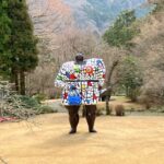 Hakone Day Tour to View Mt Fuji After Feeling Wooden Culture Tour Details