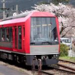 Hakone FreePass, Days Japan Pricing Details and Booking Information